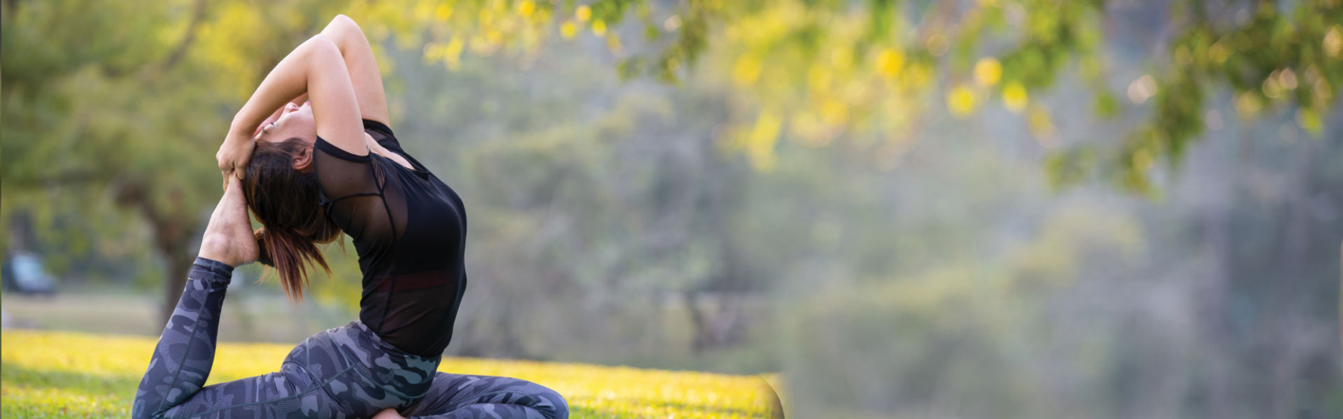 banner image
